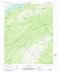 Download a high-resolution, GPS-compatible USGS topo map for Shady Valley, TN (1991 edition)