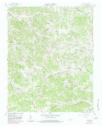 Download a high-resolution, GPS-compatible USGS topo map for Slayden, TN (1983 edition)