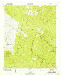 Download a high-resolution, GPS-compatible USGS topo map for Smartt Mountain, TN (1962 edition)