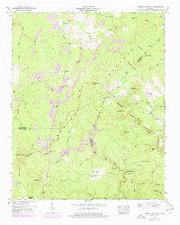 Download a high-resolution, GPS-compatible USGS topo map for Smartt Mountain, TN (1977 edition)