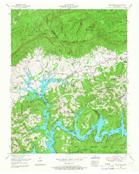 Download a high-resolution, GPS-compatible USGS topo map for Well Spring, TN (1967 edition)