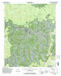 Download a high-resolution, GPS-compatible USGS topo map for White Rocks Mountain, TN (1998 edition)