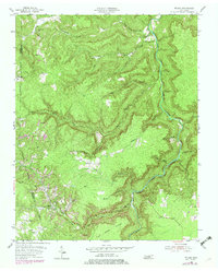 Download a high-resolution, GPS-compatible USGS topo map for Wilder, TN (1979 edition)