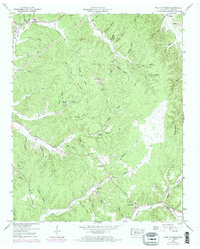 Download a high-resolution, GPS-compatible USGS topo map for Wolf Pit Ridge, TN (1973 edition)