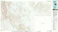 preview thumbnail of historical topo map of Brewster County, TX in 1984