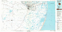 preview thumbnail of historical topo map of Brownsville, TX in 1992