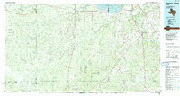 Download a high-resolution, GPS-compatible USGS topo map for George West, TX (1992 edition)