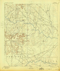 1894 Map of Coke County, TX, 1925 Print