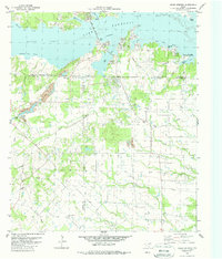Download a high-resolution, GPS-compatible USGS topo map for Ables Springs, TX (1987 edition)