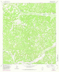 Download a high-resolution, GPS-compatible USGS topo map for Adams SE, TX (1982 edition)