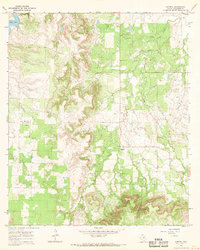 preview thumbnail of historical topo map of Callahan County, TX in 1966