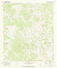 Download a high-resolution, GPS-compatible USGS topo map for Aermotor Draw, TX (1973 edition)