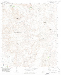 Download a high-resolution, GPS-compatible USGS topo map for Agua Adentro Mountain, TX (1974 edition)