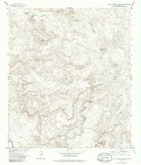 Download a high-resolution, GPS-compatible USGS topo map for Agua Adentro Mountain, TX (1986 edition)