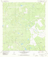Download a high-resolution, GPS-compatible USGS topo map for Agua Azul Creek West, TX (1980 edition)