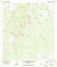 Download a high-resolution, GPS-compatible USGS topo map for Agua Nueva NW, TX (1975 edition)