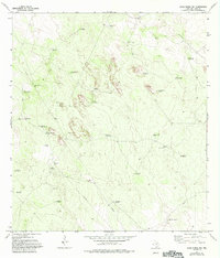 Download a high-resolution, GPS-compatible USGS topo map for Agua Nueva NW, TX (1993 edition)