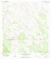 Download a high-resolution, GPS-compatible USGS topo map for Agua Nueva SE, TX (1975 edition)
