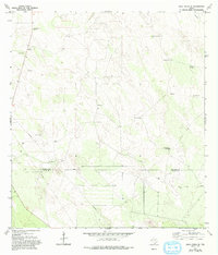 preview thumbnail of historical topo map of Jim Hogg County, TX in 1972