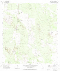 Download a high-resolution, GPS-compatible USGS topo map for Agua Nueva, TX (1975 edition)