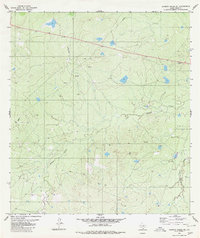 Download a high-resolution, GPS-compatible USGS topo map for Alamito Creek NE, TX (1980 edition)