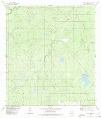 Download a high-resolution, GPS-compatible USGS topo map for Alamito Creek, TX (1980 edition)