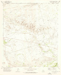 Download a high-resolution, GPS-compatible USGS topo map for Alligator Draw, TX (1976 edition)