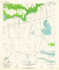 Download a high-resolution, GPS-compatible USGS topo map for Alligator Hole Marsh, TX (1964 edition)