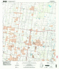 Download a high-resolution, GPS-compatible USGS topo map for Alton, TX (2003 edition)