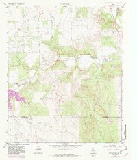 Download a high-resolution, GPS-compatible USGS topo map for Antelope Creek NE, TX (1982 edition)