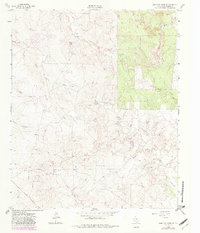 Download a high-resolution, GPS-compatible USGS topo map for Antelope Creek SE, TX (1982 edition)