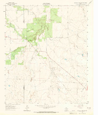 Download a high-resolution, GPS-compatible USGS topo map for Antelope Creek SW, TX (1965 edition)