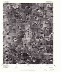 preview thumbnail of historical topo map of Hale County, TX in 1976