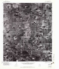 Download a high-resolution, GPS-compatible USGS topo map for Anton NE, TX (1983 edition)