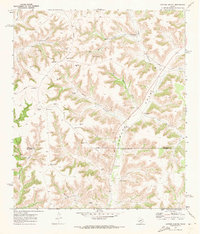 Download a high-resolution, GPS-compatible USGS topo map for Antone Canyon, TX (1973 edition)