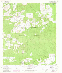 Download a high-resolution, GPS-compatible USGS topo map for Apple Springs, TX (1980 edition)