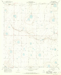Download a high-resolution, GPS-compatible USGS topo map for Arney, TX (1968 edition)