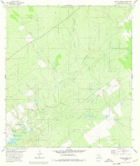 preview thumbnail of historical topo map of Zapata County, TX in 1980