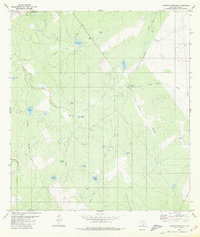 preview thumbnail of historical topo map of Zapata County, TX in 1980