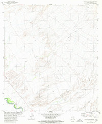 Download a high-resolution, GPS-compatible USGS topo map for Arroyo Melado, TX (1980 edition)