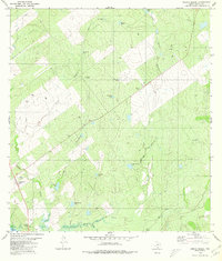 Download a high-resolution, GPS-compatible USGS topo map for Arroyo Miguel, TX (1980 edition)