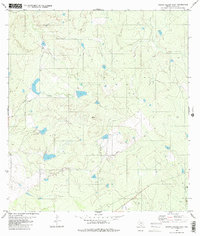 Download a high-resolution, GPS-compatible USGS topo map for Arroyo Salado East, TX (1980 edition)