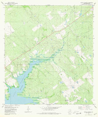 Download a high-resolution, GPS-compatible USGS topo map for Arroyo Veleno, TX (1980 edition)