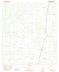 Download a high-resolution, GPS-compatible USGS topo map for Artesia Wells, TX (1982 edition)