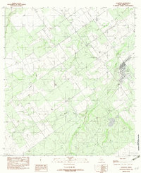 Download a high-resolution, GPS-compatible USGS topo map for Asherton, TX (1982 edition)