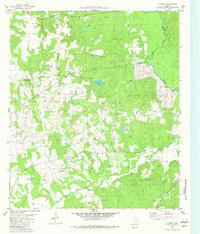 preview thumbnail of historical topo map of Houston County, TX in 1982