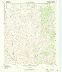 Download a high-resolution, GPS-compatible USGS topo map for Badger Nest Tank, TX (1969 edition)