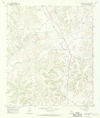 Download a high-resolution, GPS-compatible USGS topo map for Baggett Ranch, TX (1970 edition)