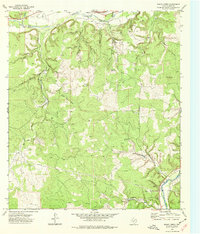 Download a high-resolution, GPS-compatible USGS topo map for Bailey Creek, TX (1977 edition)