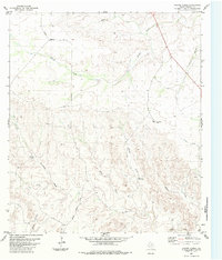 Download a high-resolution, GPS-compatible USGS topo map for Balcon Creek, TX (1984 edition)